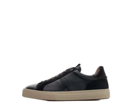 Ambitious 136057128- Trainer.