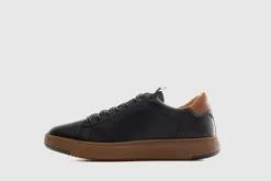 Ambitious 136726584- Trainer.