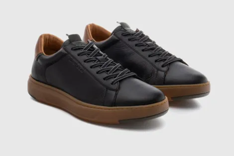 Ambitious 136726584- Trainer.