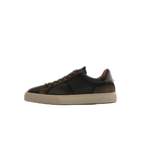 Ambitious 136057315- Trainer.