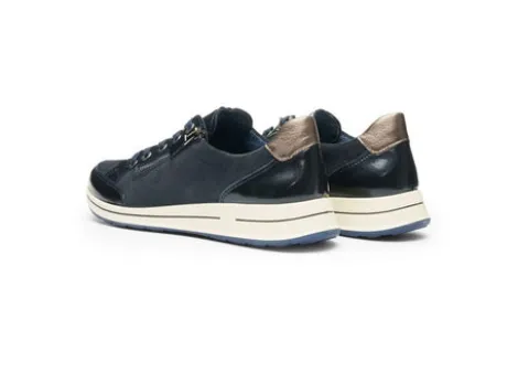 Ara 125480182- Trainer.