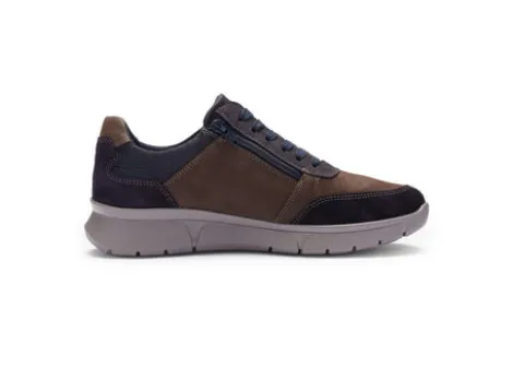 Ara 112560224- Trainer.