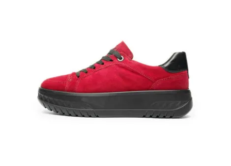 Ara 124670319- Trainer.