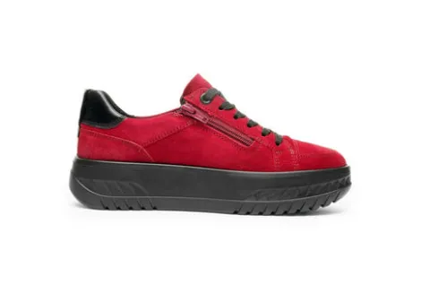 Ara 124670319- Trainer.