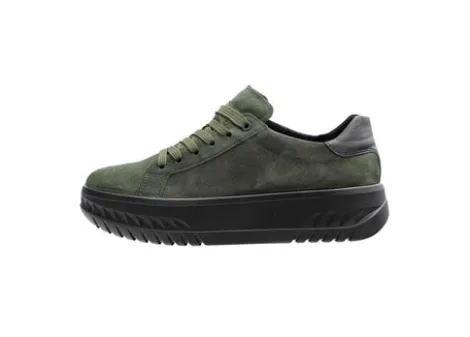 Ara 124670707- Trainer.