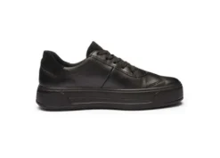Ara 122301218-Trainer.