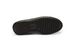 Ara 122301218-Trainer.