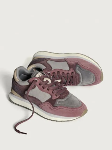 Hoff Melbourne 22502004- Trainer.
