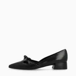 Lodi AMISTADNE-Pump.