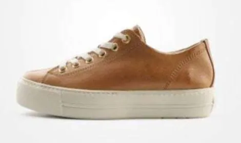 Paul Green 4790637- Trainer.