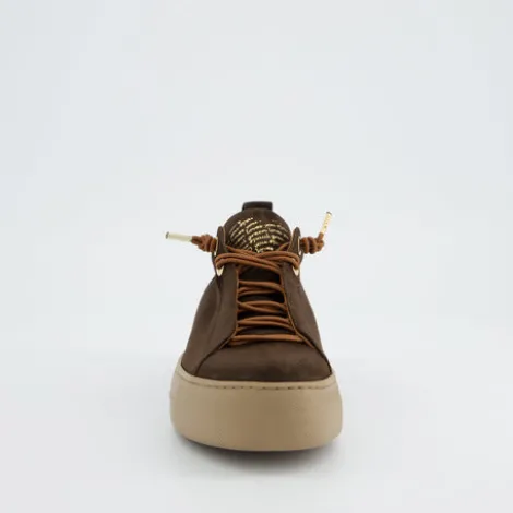 Paul Green 5017448- Trainer.