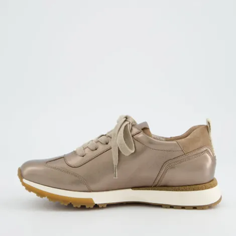 Paul Green 5392148- Trainer.
