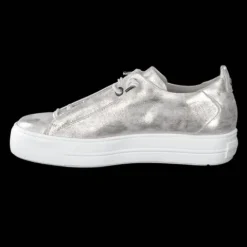 Paul Green 5017123- Trainer.