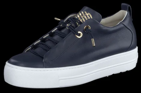 Paul Green 5017013- Trainer.