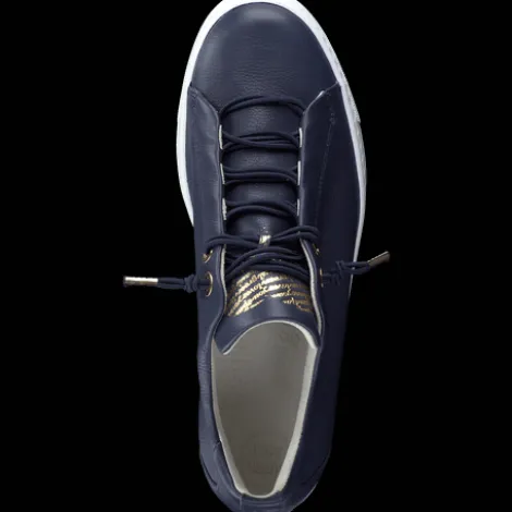 Paul Green 5017013- Trainer.