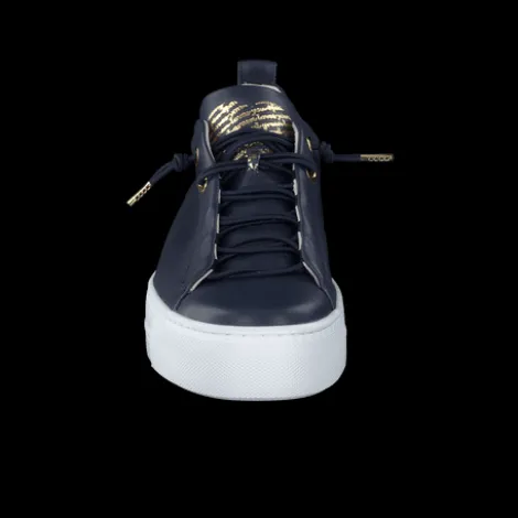Paul Green 5017013- Trainer.