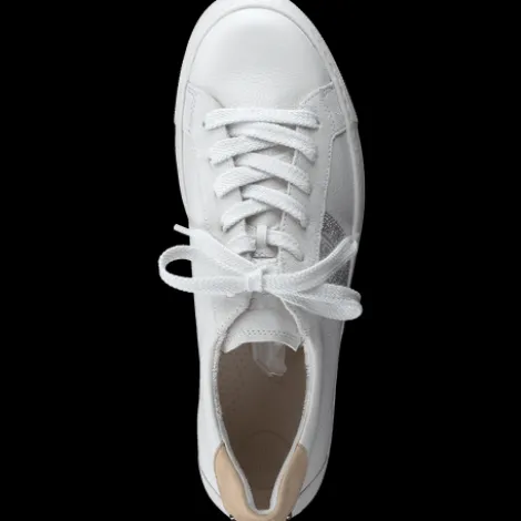 Paul Green 5330015- Trainer.
