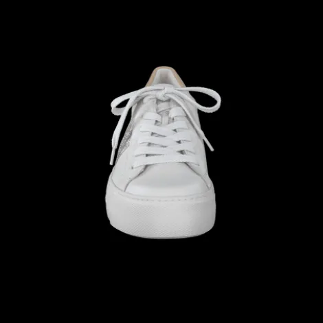 Paul Green 5330015- Trainer.