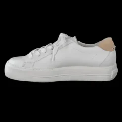 Paul Green 5330015- Trainer.