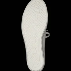 Paul Green 5330015- Trainer.