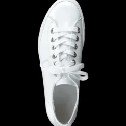Paul Green 4790155- Trainer.