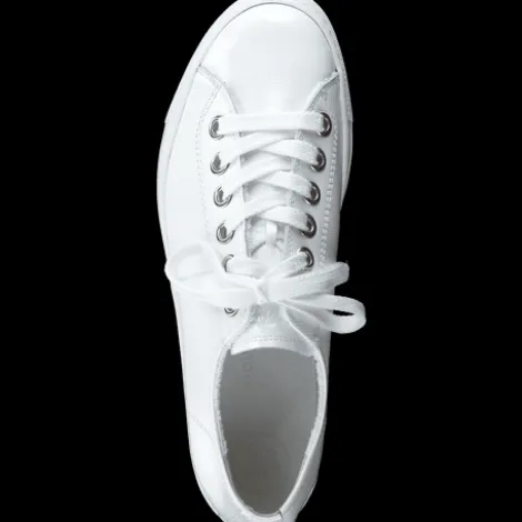Paul Green 4790155- Trainer.