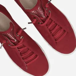 Paul Green 5017326- Trainer.