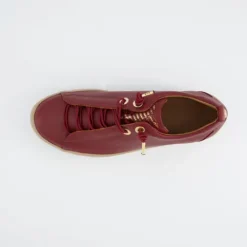 Paul Green 5017438- Trainer.