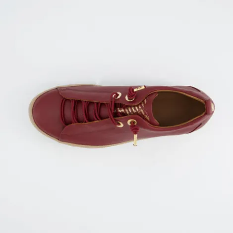 Paul Green 5017438- Trainer.
