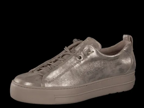 Paul Green 5417066- Trainer.