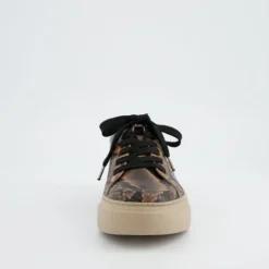 Paul Green 5469058- Trainer Boa.