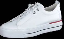 Paul Green 5017213-Trainer.