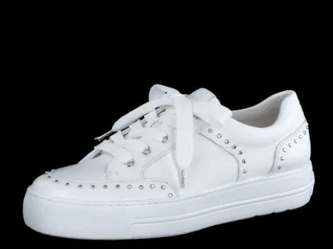 Paul Green 5381036-Trainer.