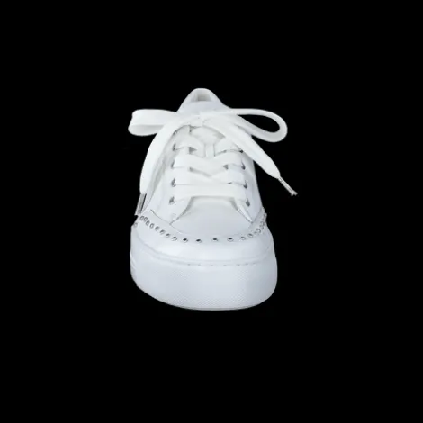Paul Green 5381036-Trainer.