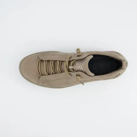 Paul Green 5017418-Trainer.