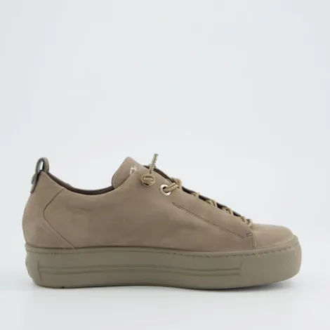 Paul Green 5017418-Trainer.