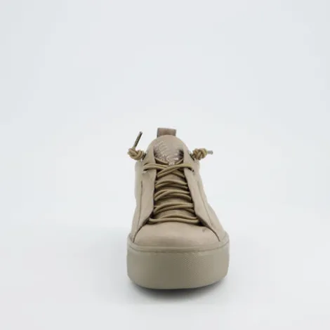 Paul Green 5017418-Trainer.