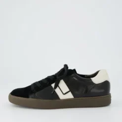 Paul Green 5464208-Trainer.