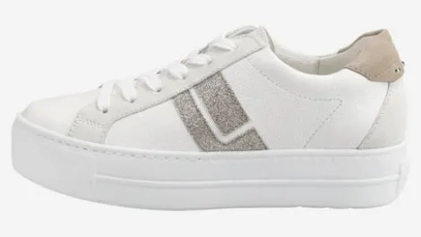 Paul Green 5430067-Trainer.