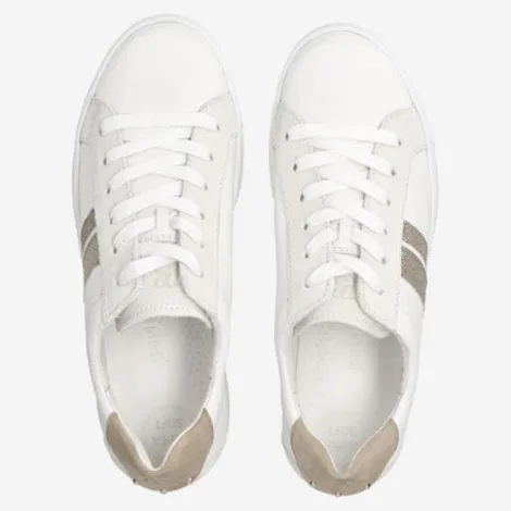 Paul Green 5430067-Trainer.