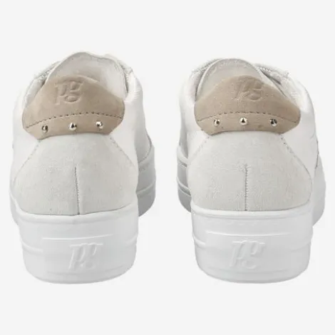 Paul Green 5430067-Trainer.