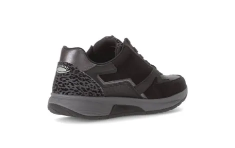 Rolling 7687867- Trainer.