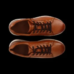 Salamander E31ASA0163- Trainer.