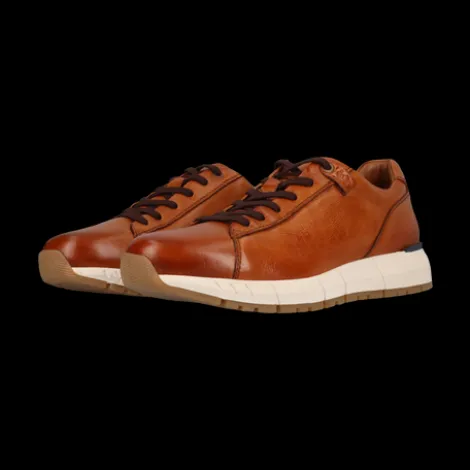 Salamander E31ASA0163- Trainer.