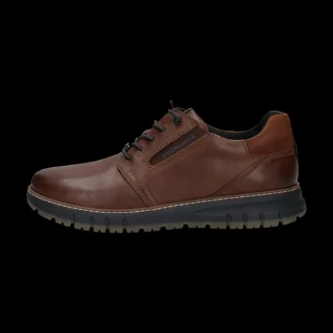Salamander E31AV00160- Trainer.