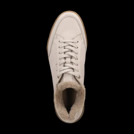 Salamander F31AUR0121- Trainer.